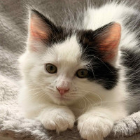 Photo of Rocket 🚀