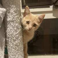 Photo of Roly Poly 