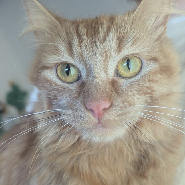 Photo of Genevieve & River