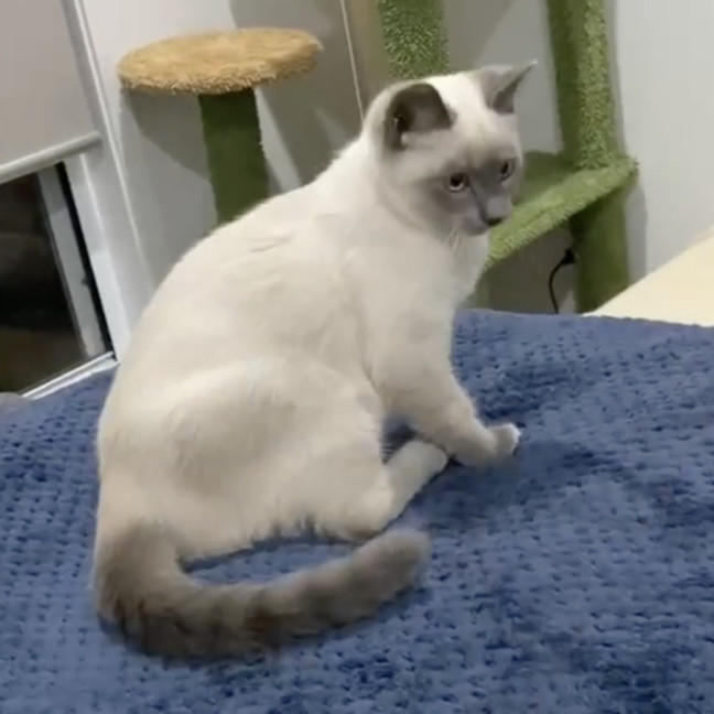 Photo of Teddy