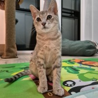 Photo of Audrey 🌹🌹🌹