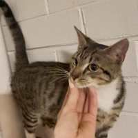 Photo of Fish   Located In Brunswick West