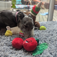 Photo of Emmie