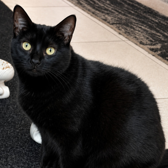 Photo of Precious
