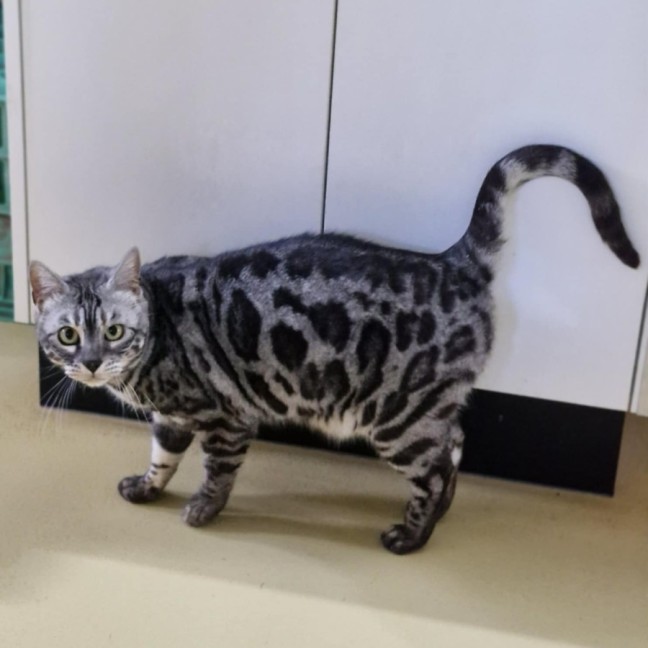 Photo of Tara And Fantasy 