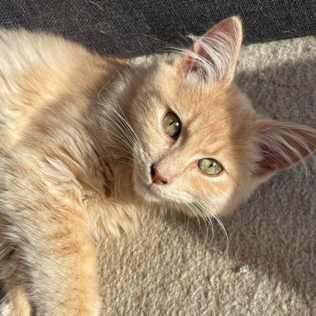 Photo of Trevor 💙