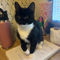 Photo of Haku And Amica