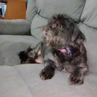 Photo of Bearboo And Melli