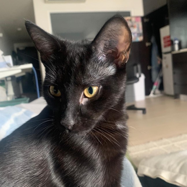 Photo of Jonah