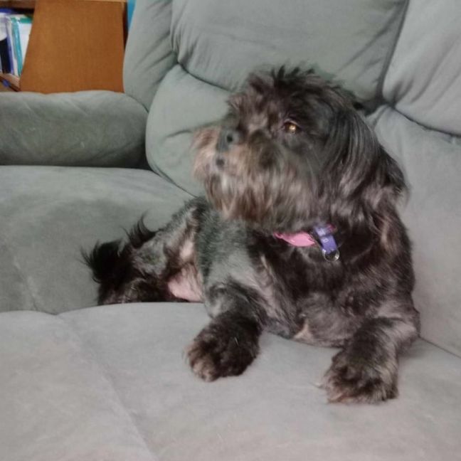 Photo of Bearboo And Melli