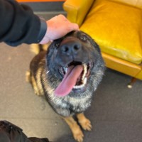 Photo of Duke