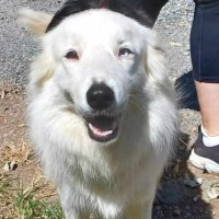 Photo of Molly