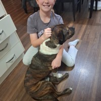 Photo of Rex