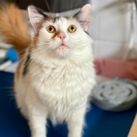 Photo of Miss Lizzie