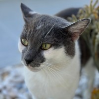 Photo of Bobby