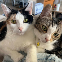 Photo of Cali & Penny💗