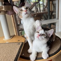 Photo of Marmalade & Honey