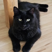 Photo of Buster