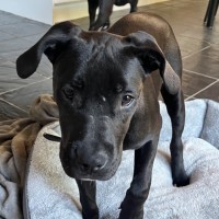 Photo of Superior Winston