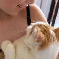 Photo of Sawyer 🐾🦁🧡