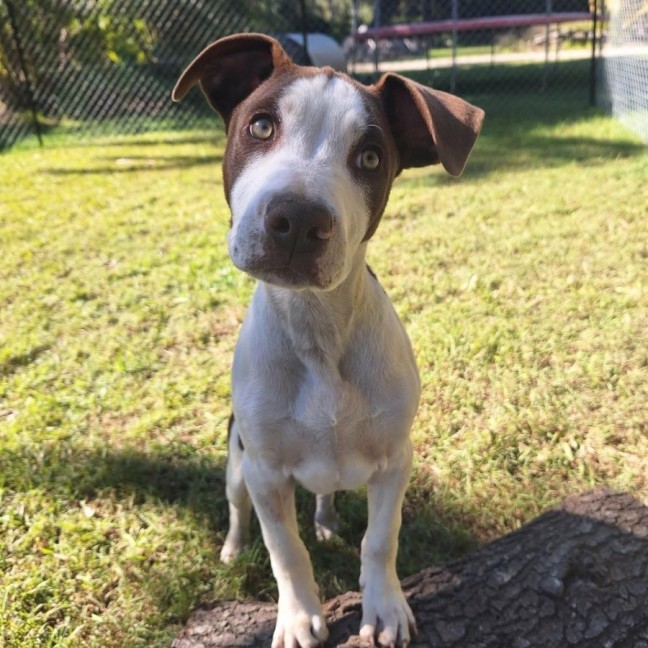Photo of Phoenix