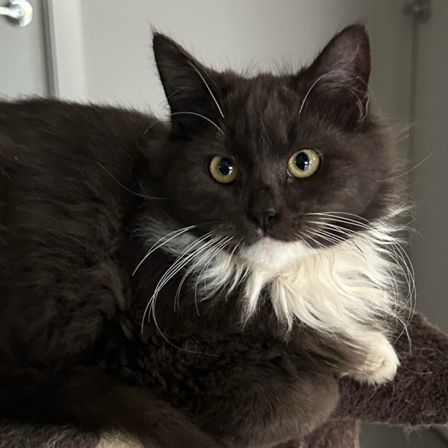 Photo of Olivia