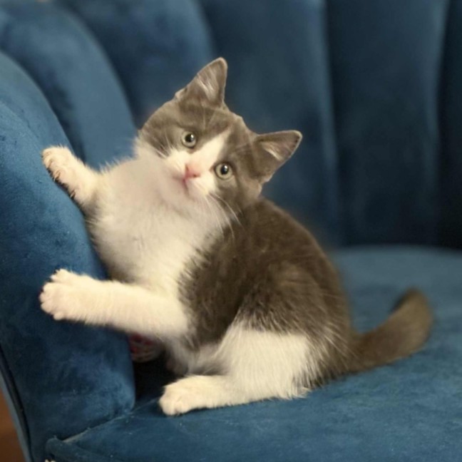 Photo of 💙 Kaycee 💙