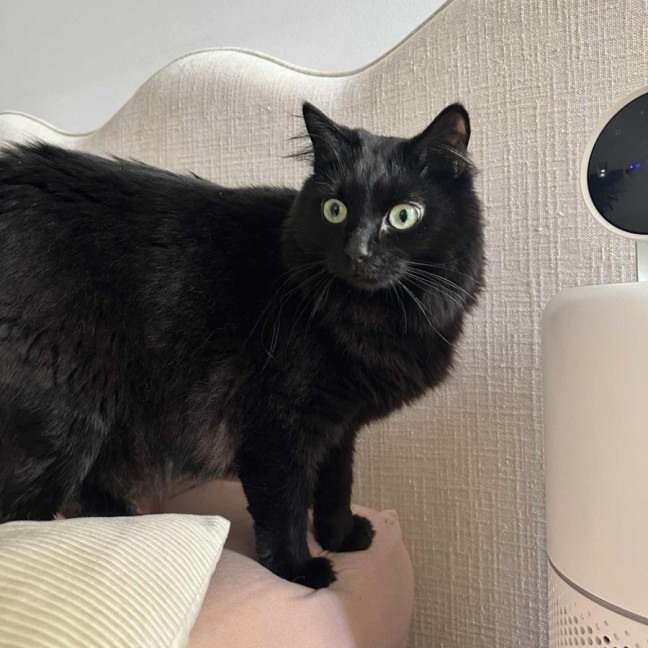 Photo of Raffaello 
