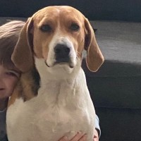 Photo of Marley