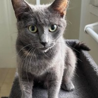 Photo of 💟 Silvee 💟