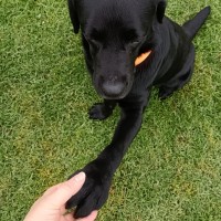 Photo of Johnny Bravo