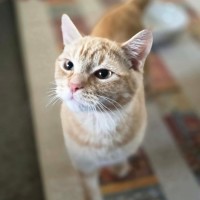 Photo of Bartholomew