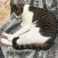 Photo of Esmeralda