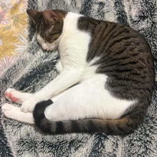 Photo of Esmeralda