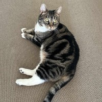 Photo of Boots