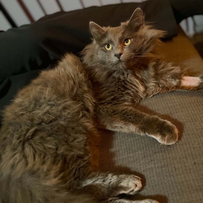 Photo of Dennis