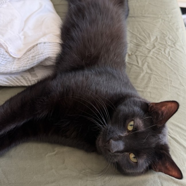 Photo of Hugo