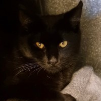 Photo of Spook