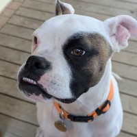 Photo of Ricky Jon Jiggy