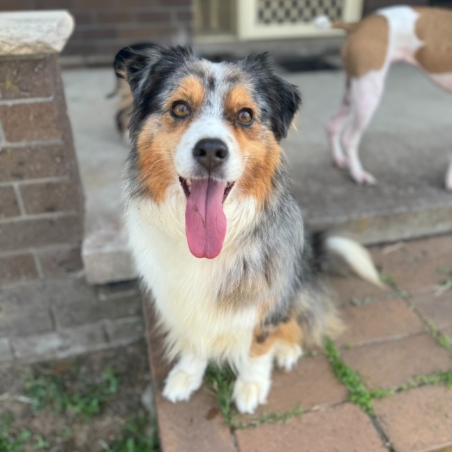 Photo of Bonus
