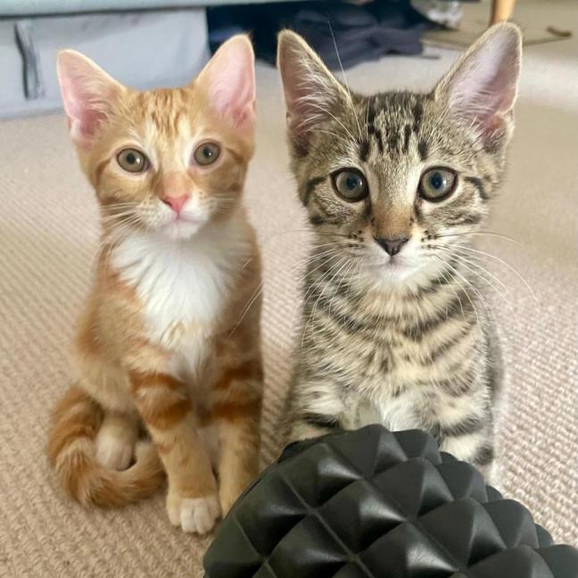 Photo of Poppie & Ralphie