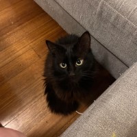 Photo of Rowan 