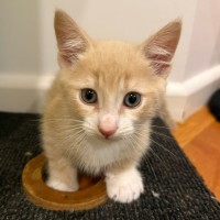 Photo of Fizz