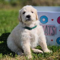 Photo of Burt