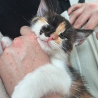 Photo of Champagne And Oj