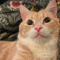 Photo of Fred🧡