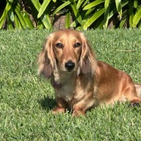 Photo of Sophie
