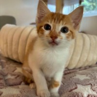 Photo of Monty
