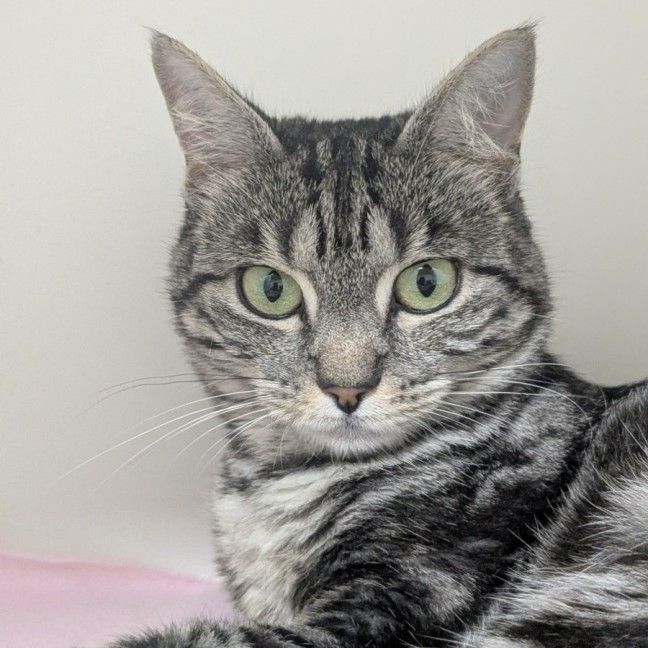 Photo of 💫 Marnie 6898 💫