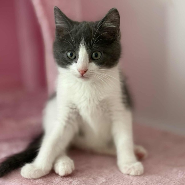 Photo of 💙 Kaycee 💙